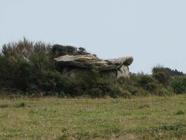 Dolmens de Saint-Pierre-Lop&eacute;rec A